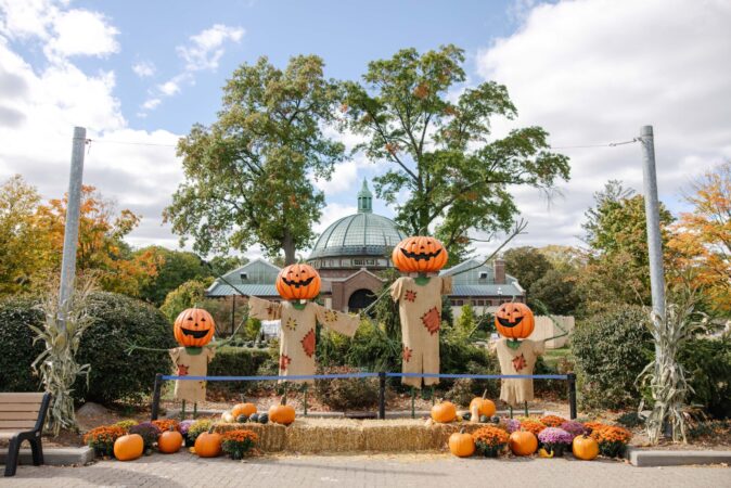 ZOO BOO AT THE DETROIT ZOO 2022, PHOTO COURTESY OF DETROIT ZOOLOGICAL SOCIETY